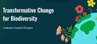 Transformative Change for Biodiversity